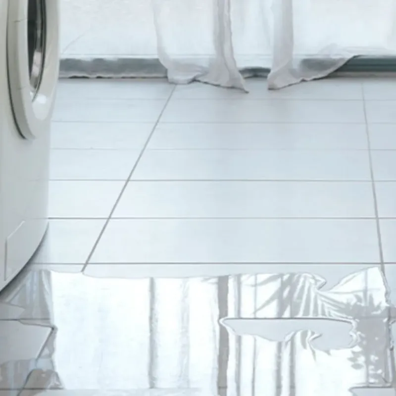 Appliance Leak Cleanup in Weslaco, TX