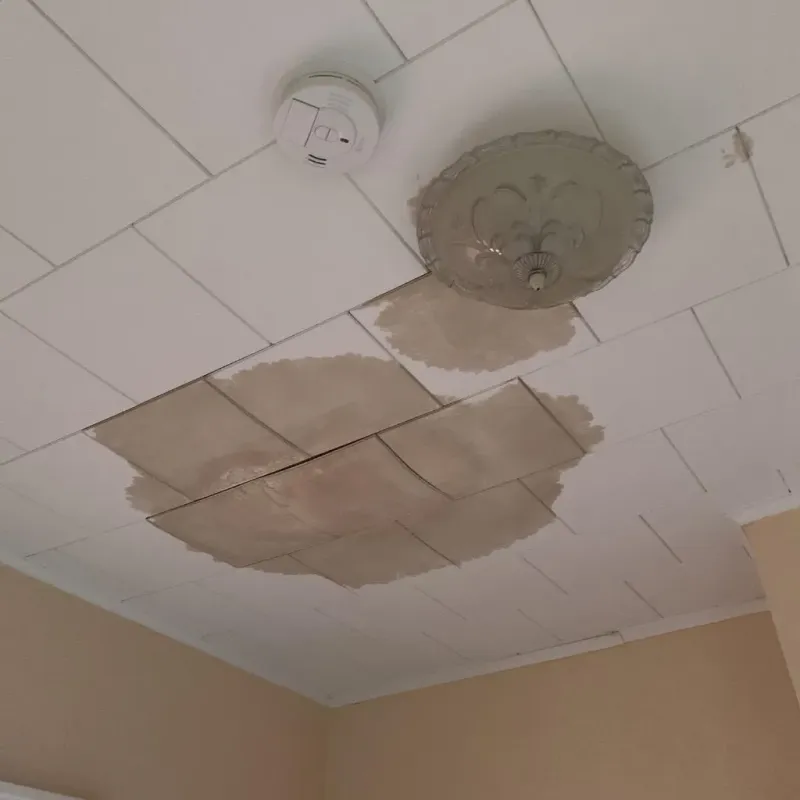 Ceiling Water Damage Repair in Weslaco, TX